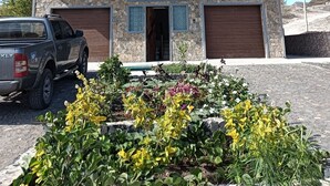 A multi-story building with a garage, a parked SUV, and a garden with various plants.