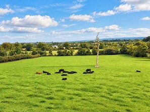 A green field with cows and a windmill.