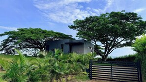 Een modern huis met een grote boom ervoor, omringd door weelderige begroeiing.