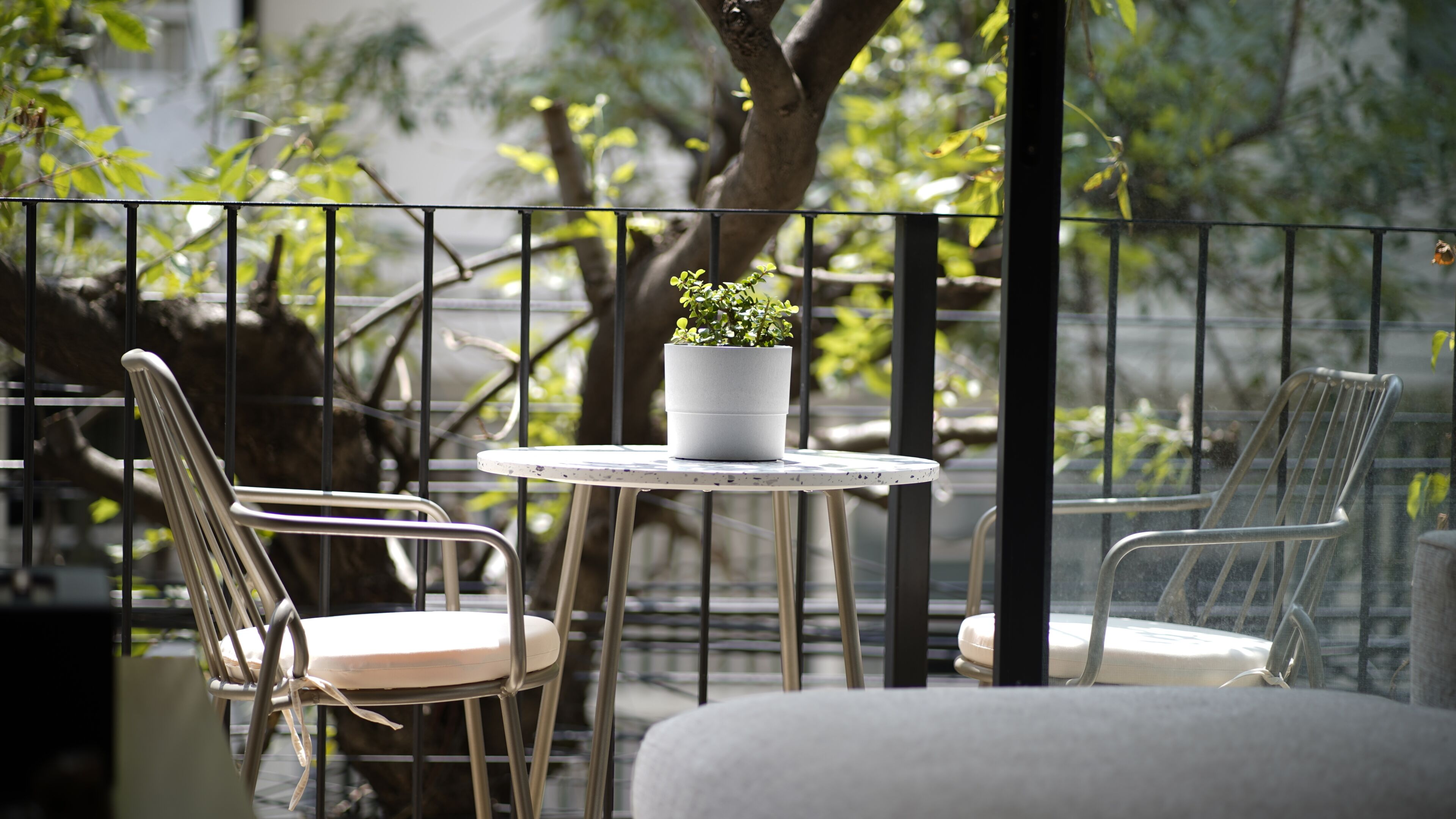 A balcony with a round table, two chairs, and a potted plant.
