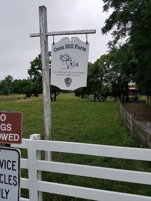 Property grounds