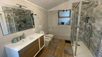 Shower, hair dryer, bidet, towels