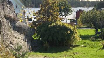 En träbänk på en gräsyta med utsikt över en sjö och hus i bakgrunden.