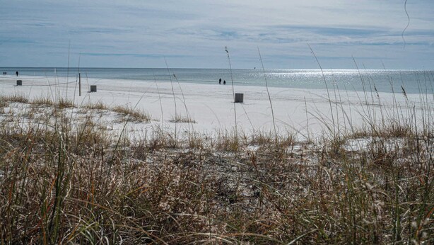 Ein Strand mit Sand, vereinzelter Vegetation und einem klaren Himmel.