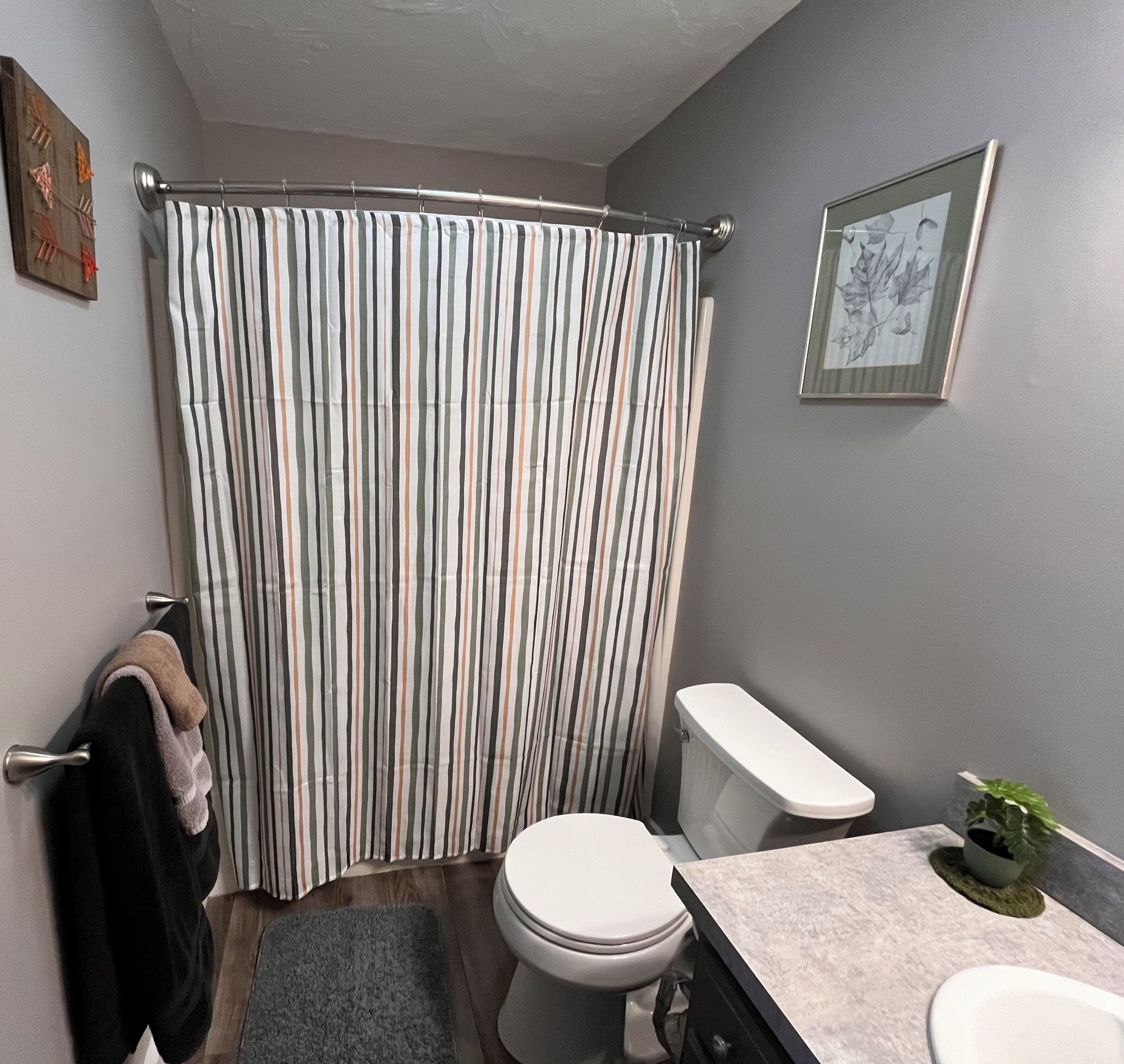 Shower, towels, soap, toilet paper