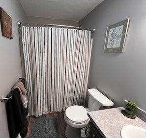 Shower, towels, soap, toilet paper