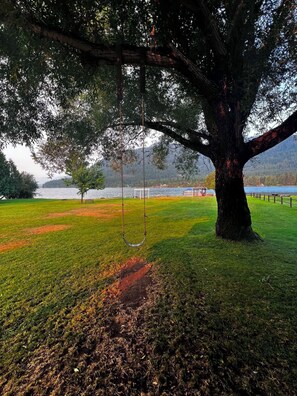 Ein großer Baum mit einer Schaukel in seinen Ästen, eine Wiese und ein Gewässer im Hintergrund.