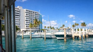 A marina with boats docked, a large hotel building in the background, and palm trees. - Tres Soles - Private Island Escape - Family Friendly - Isleta Marina (Fajardo)