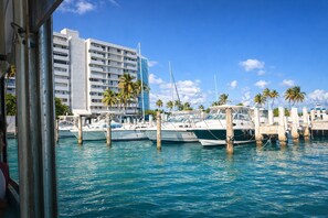 Marina con barcos amarrados, un gran edificio de hotel al fondo y palmeras.