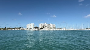 Un puerto deportivo con varios barcos y un gran edificio de hotel al fondo.