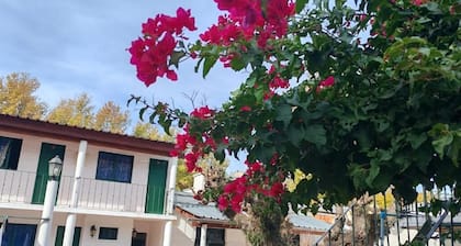 Hostel Colibri