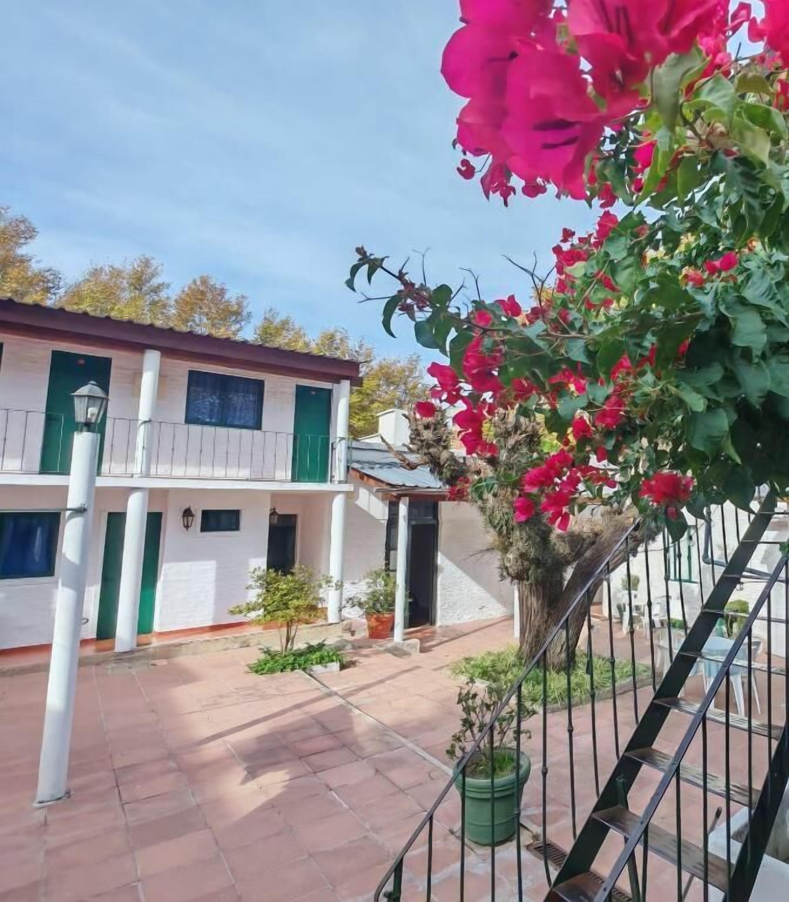 Un patio con un edificio que tiene un balcón, plantas en macetas y una escalera.