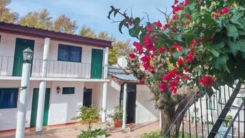 Un patio con un edificio que tiene un balcón, plantas en macetas y una escalera.
