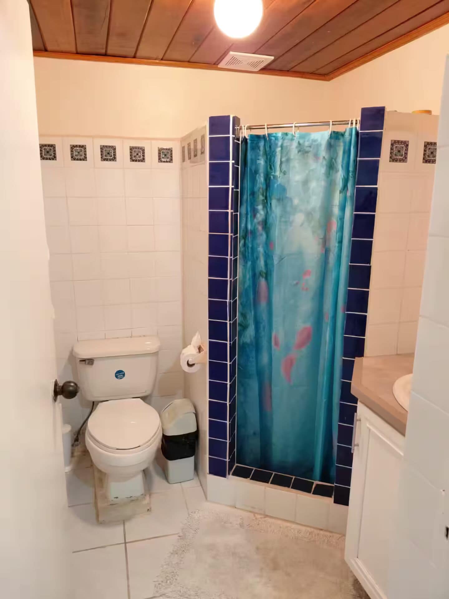 Jabón y papel de baño 