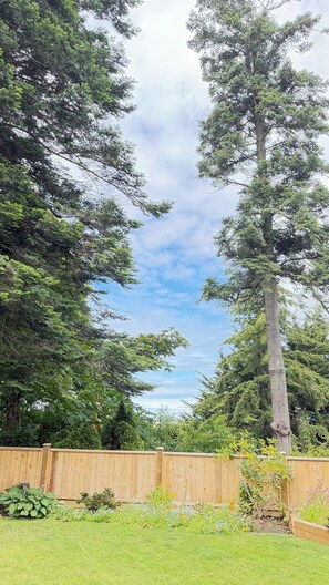 A backyard with a wooden fence, a tall tree, and a variety of plants and flowers.