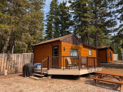 Burrowing Owl: Cozy Cabin Steps from Clearwater Lake Beach