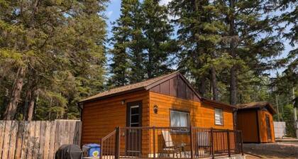 Burrowing Owl: Cozy Cabin Steps from Clearwater Lake Beach