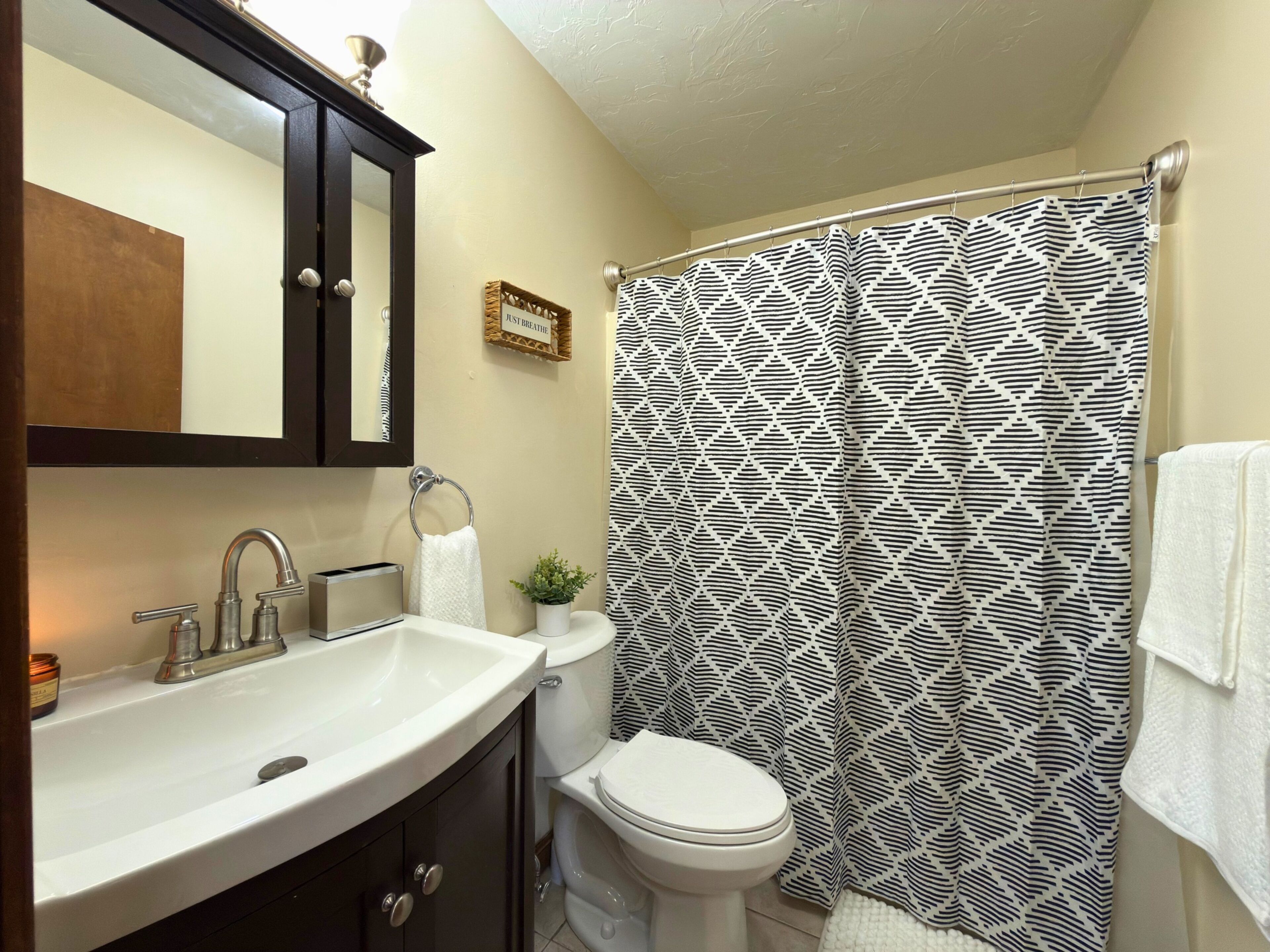 Hair dryer, towels, soap, toilet paper