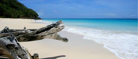 A beach with clear turquoise water, a sandy shore, and driftwood.