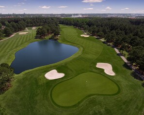 Luftaufnahme eines Golfplatzes mit großem Teich, Sandbunkern und umliegenden Bäumen.