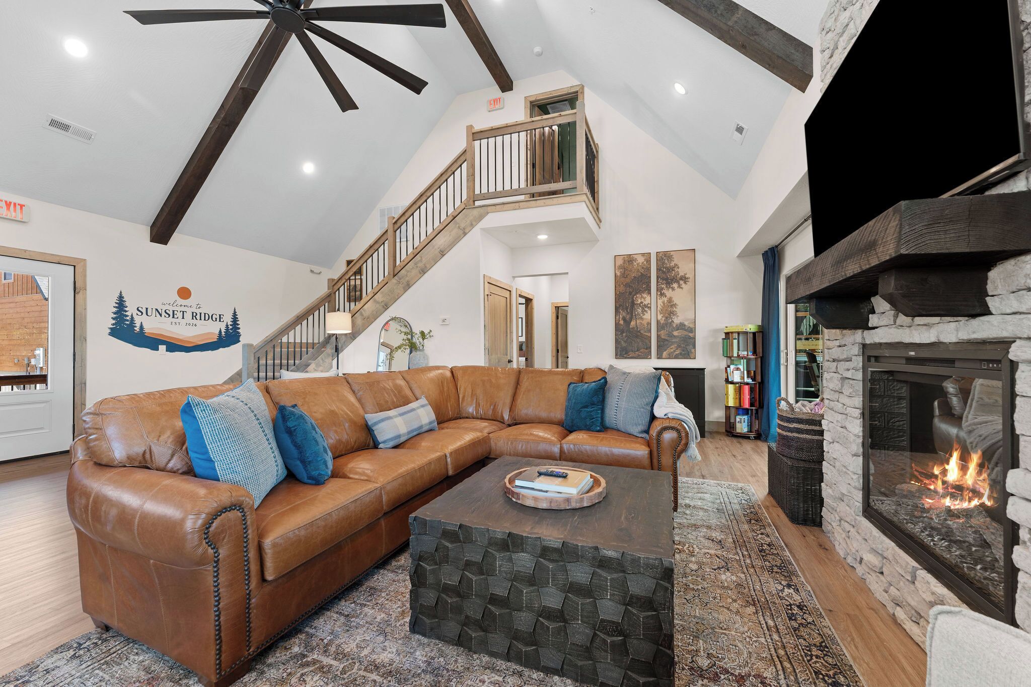 Smart TV, fireplace, books