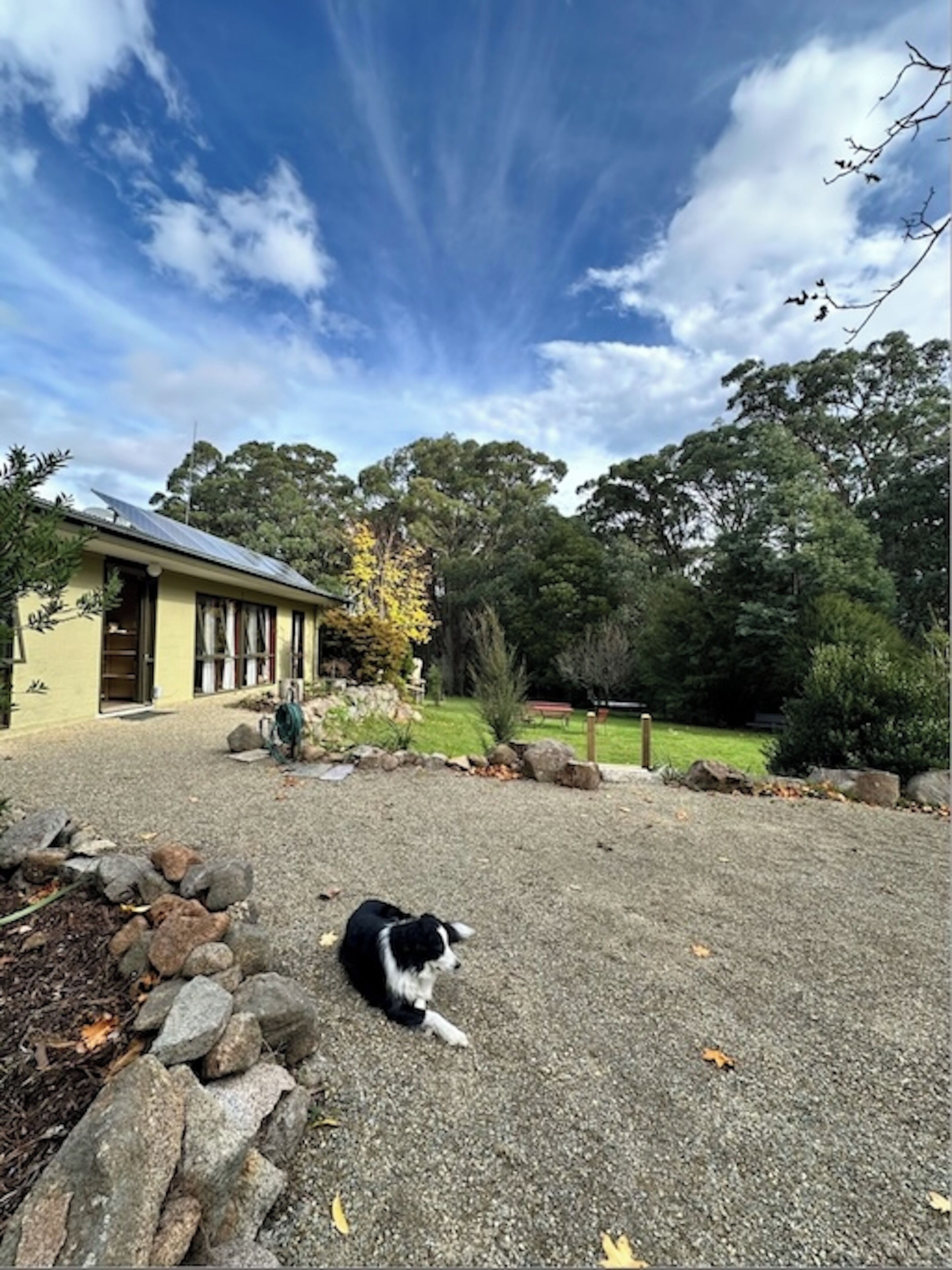 A house with a gravel driveway, a dog lying on the ground, and trees in the background.
