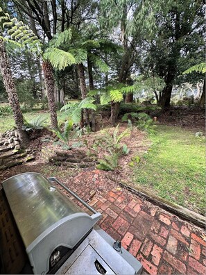 Property grounds - Toolebewong House – 130 Acres of Native Forest, Wildlife & Dog-Friendly Escape (Mount Toolebewong)