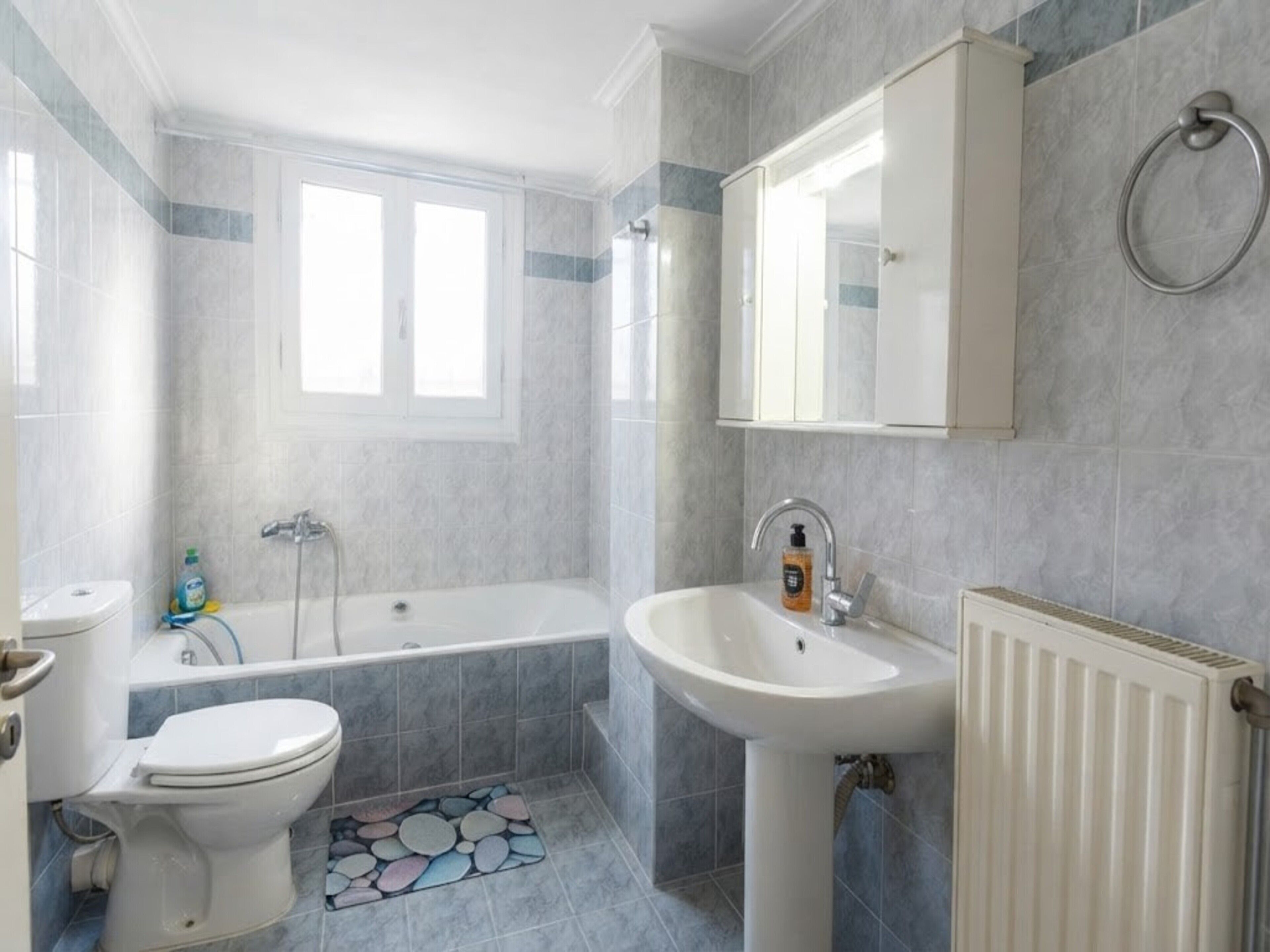 Hair dryer, towels, soap, toilet paper