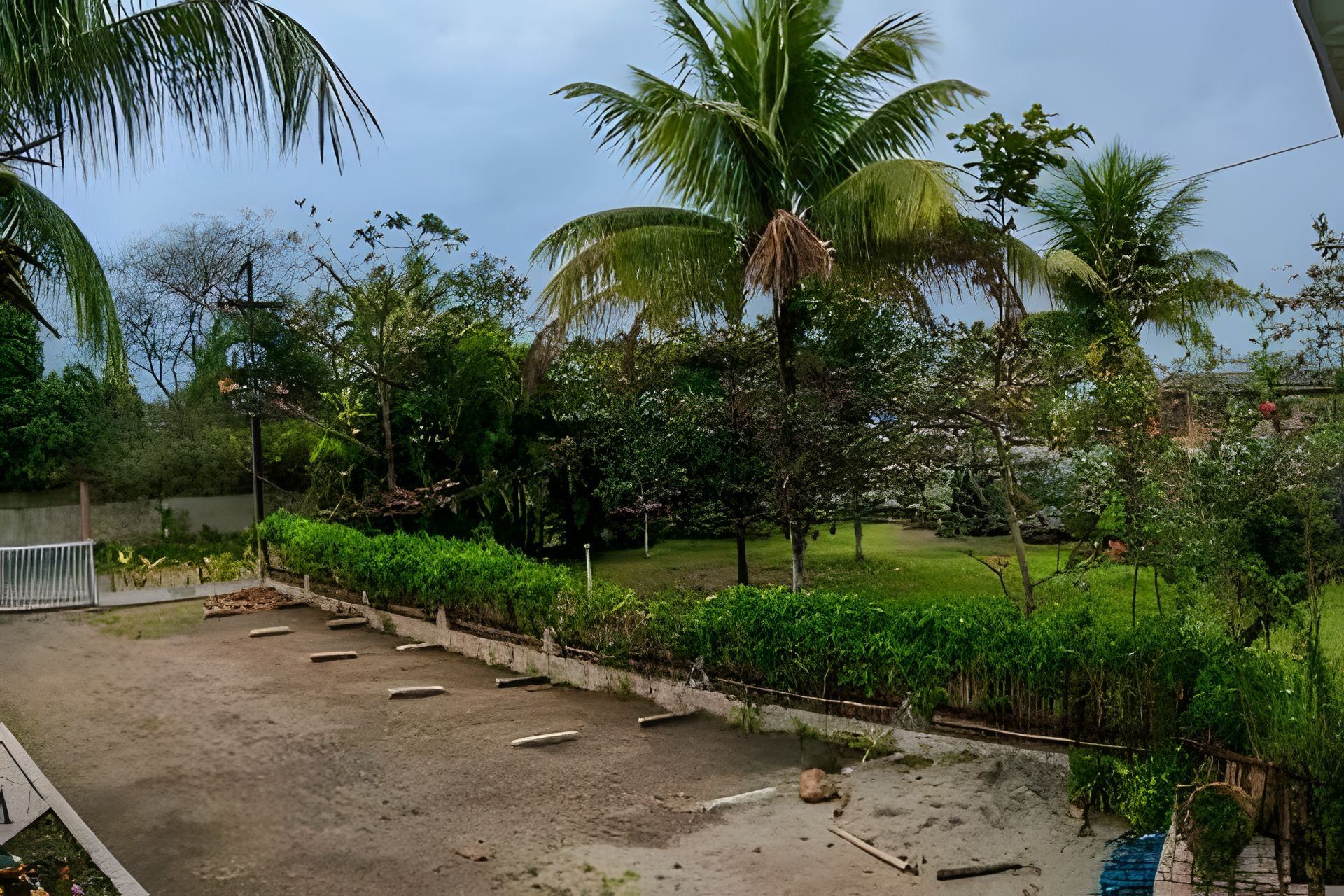 A paved area with a concrete path, surrounded by lush greenery and palm trees.