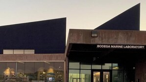 A modern building with a sign reading 'Bodega Marine Laboratory.' - Miwok Escape, by Vinifera Homes (Bodega Bay)