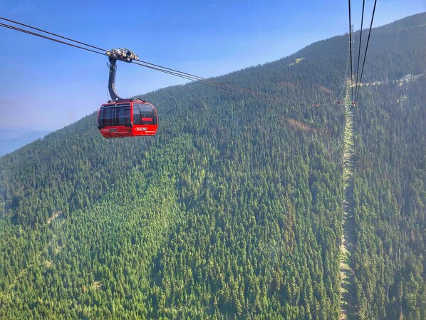 A cable car suspended over a densely forested mountain. - Whistler Adventure Haven | Pool, Hot Tub & Creekside Access | Easy lake Access (Whistler)