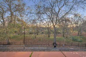 Ein Park mit Bäumen, einem Fußweg und einem Zaun.