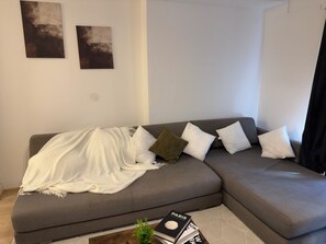 A modern living room with a grey sofa, a white knitted throw, and a small coffee table with books and a plant. - Flat in Central London 10 mins London Bridge (London)