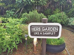 Une pancarte dans un jardin avec l’inscription : « UN JARDIN D’HERBES A TITRE D’EXEMPLE ? »