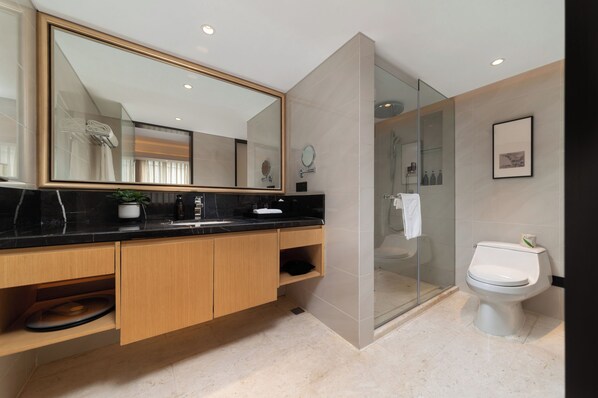 A modern bathroom with a large mirror, a glass shower enclosure, and a toilet.