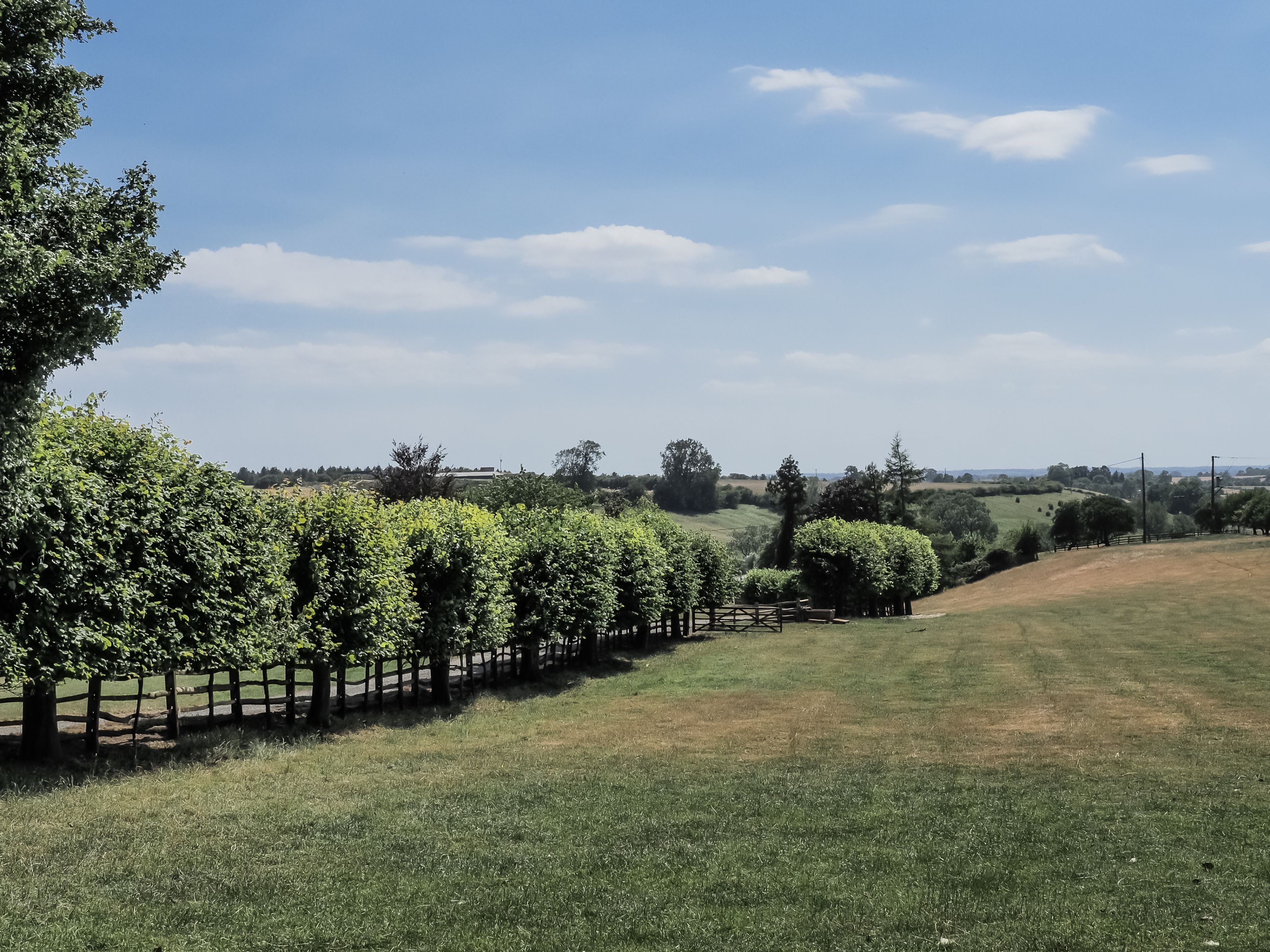 A grassy field with a wooden fence and trees.