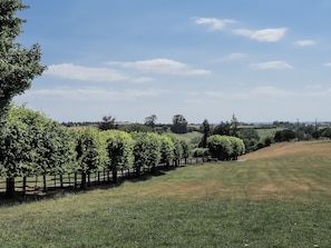 A grassy field with a wooden fence and trees.