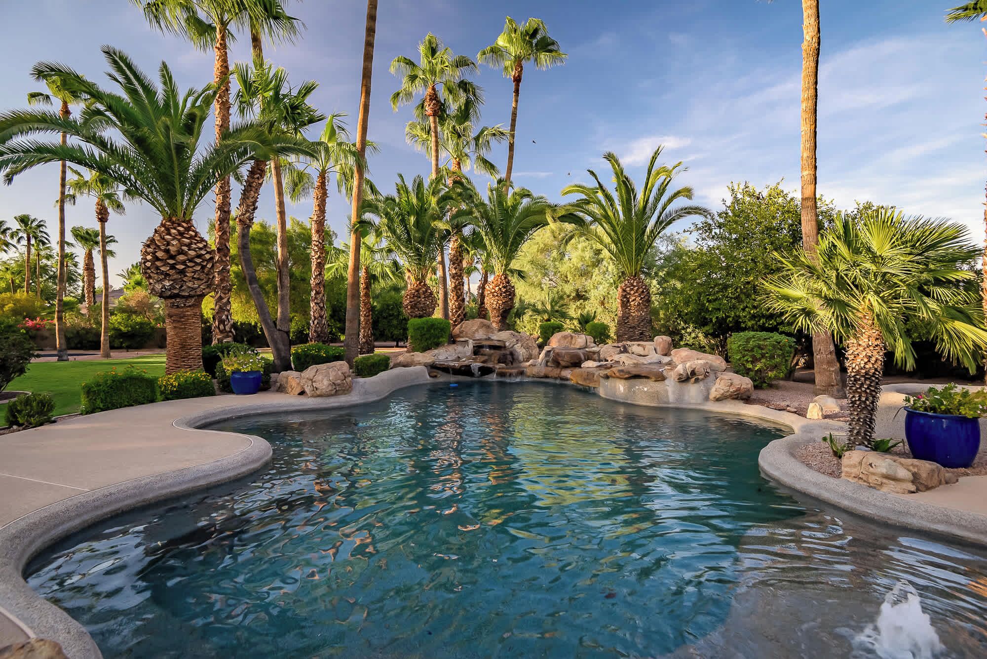 A swimming pool with a natural landscape, surrounded by palm trees and rocks.