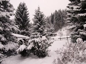 Ein verschneiter Wald mit einem Holzzaun.
