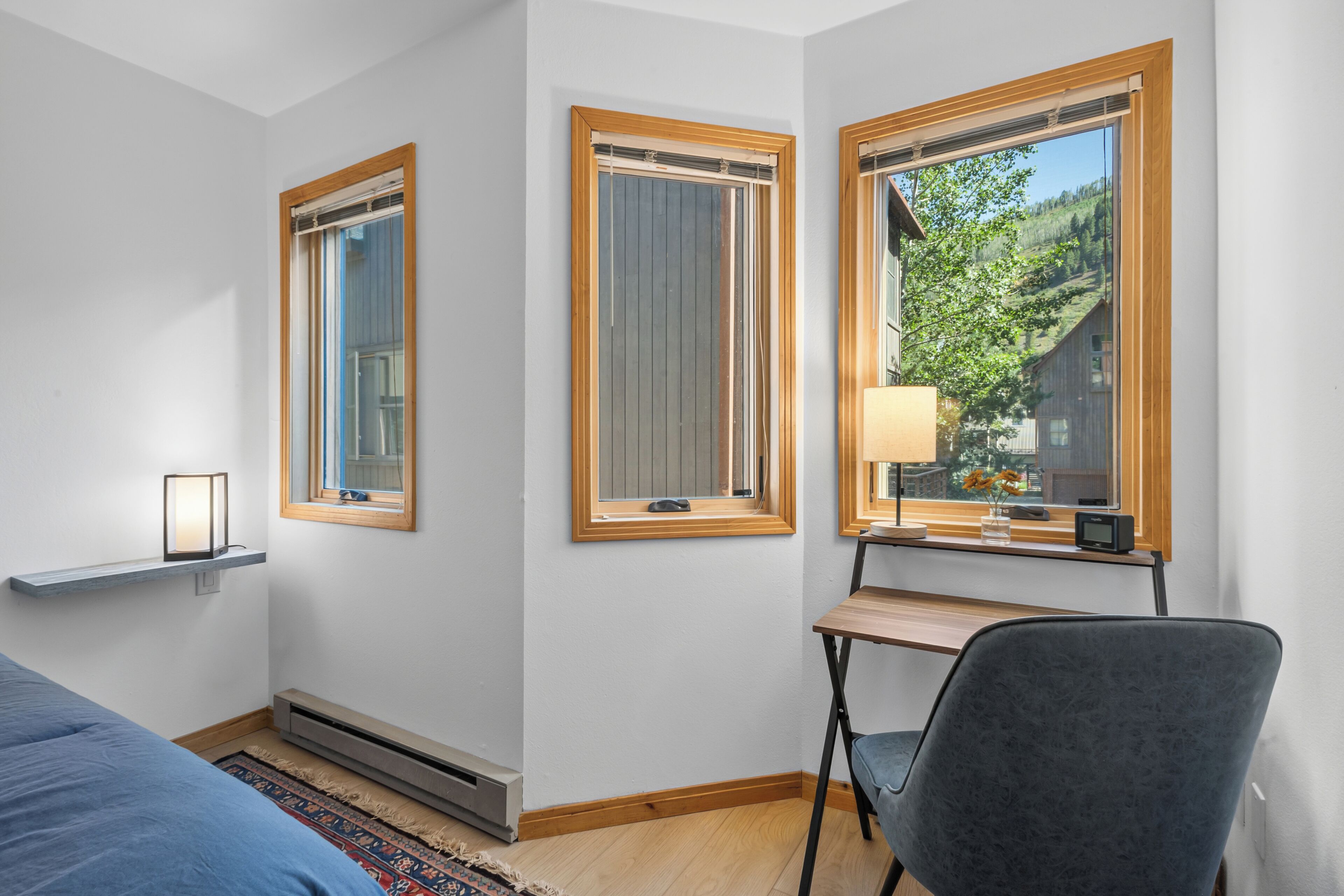 Desk, iron/ironing board, WiFi (free)