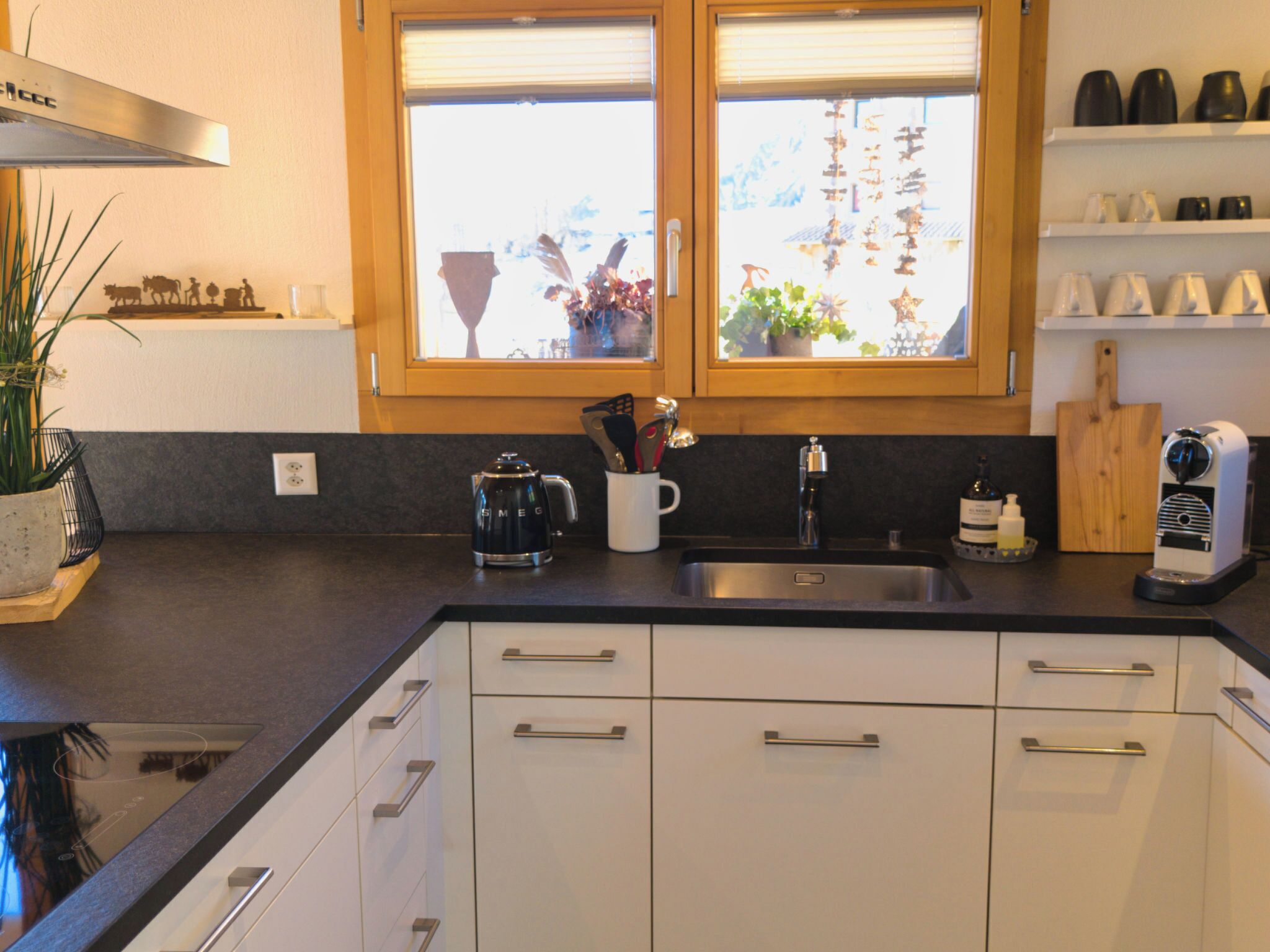Fridge, oven, dishwasher, cookware/dishes/utensils