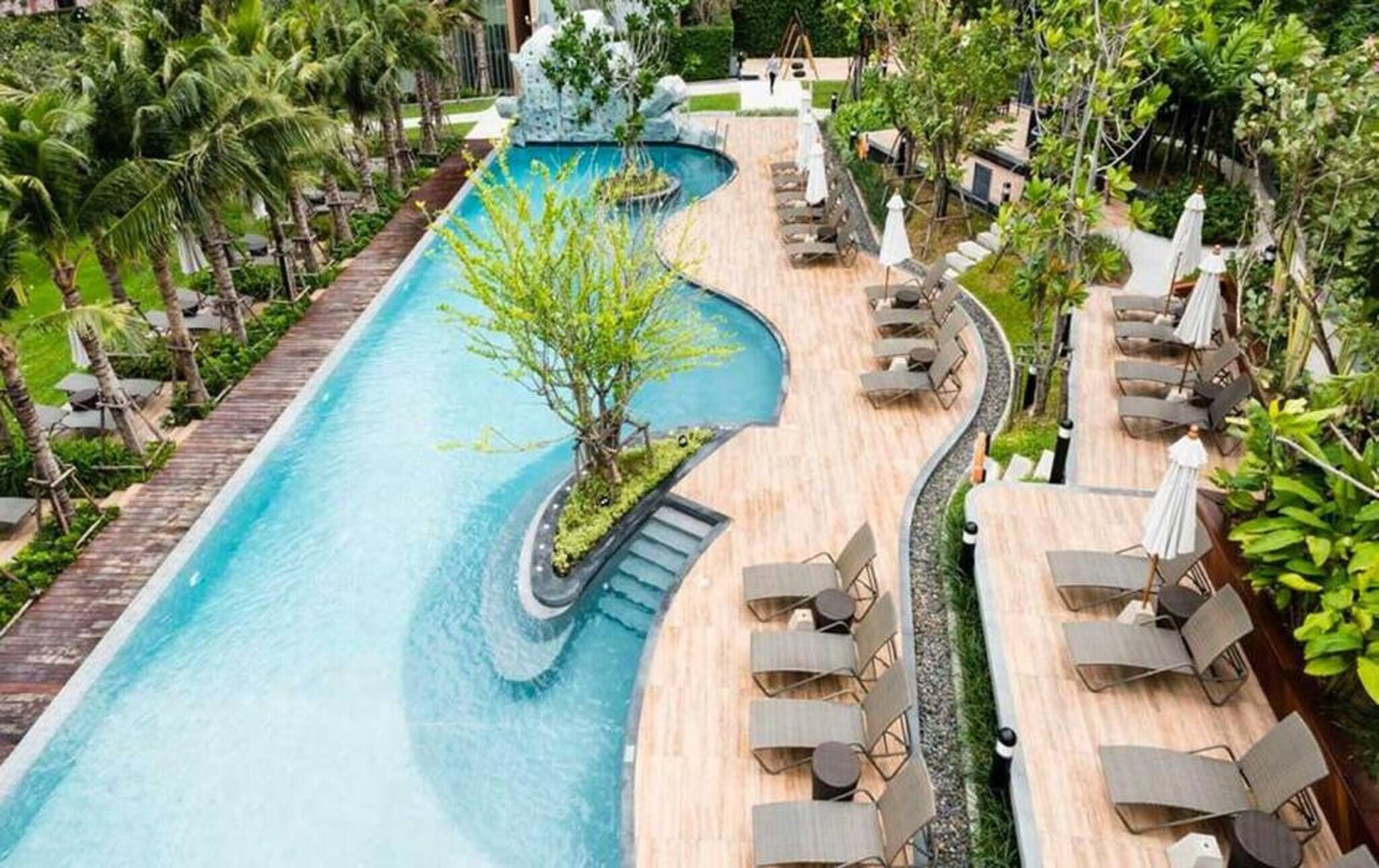Una piscina de diseño curvo, rodeada de sillones de descanso y sombrillas, con palmeras y vegetación al fondo.