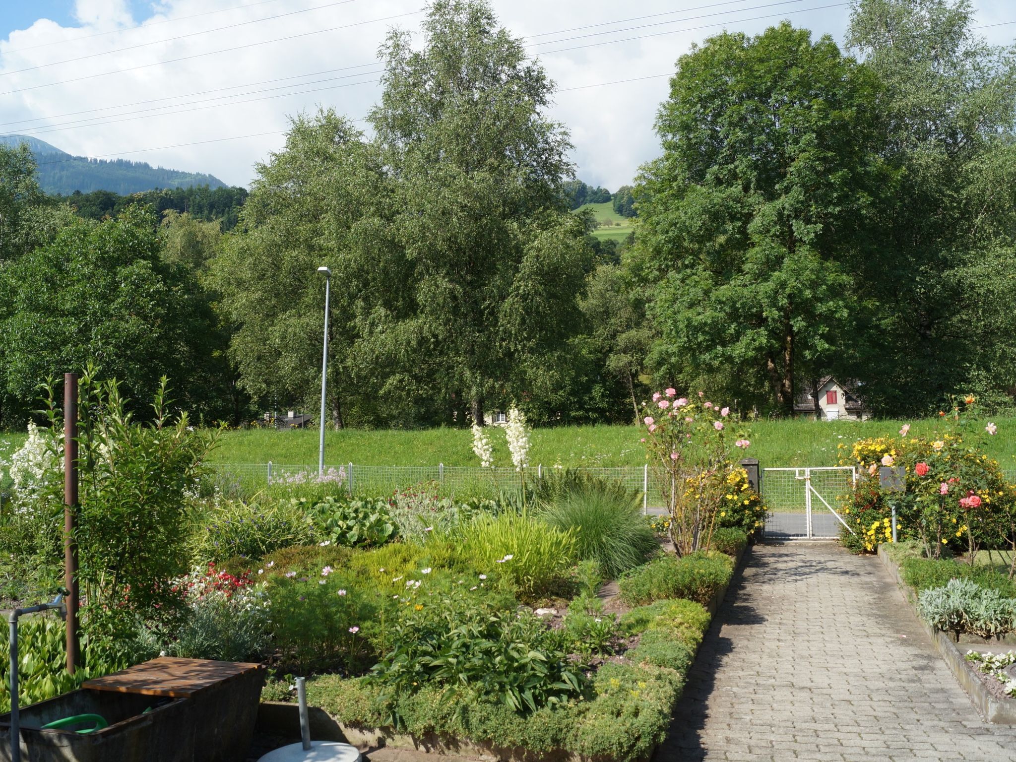 Ein Gartenweg führt zu einem Haus mit umzäuntem Garten und verschiedenen Pflanzen.
