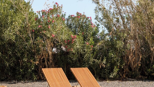 Un jardín con dos sillones de madera y una mesa, rodeado de follaje y plantas en flor.