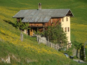 Una rustica casa di legno con tetto spiovente, immersa in un rigoglioso prato verde fiorito di fiori gialli.
