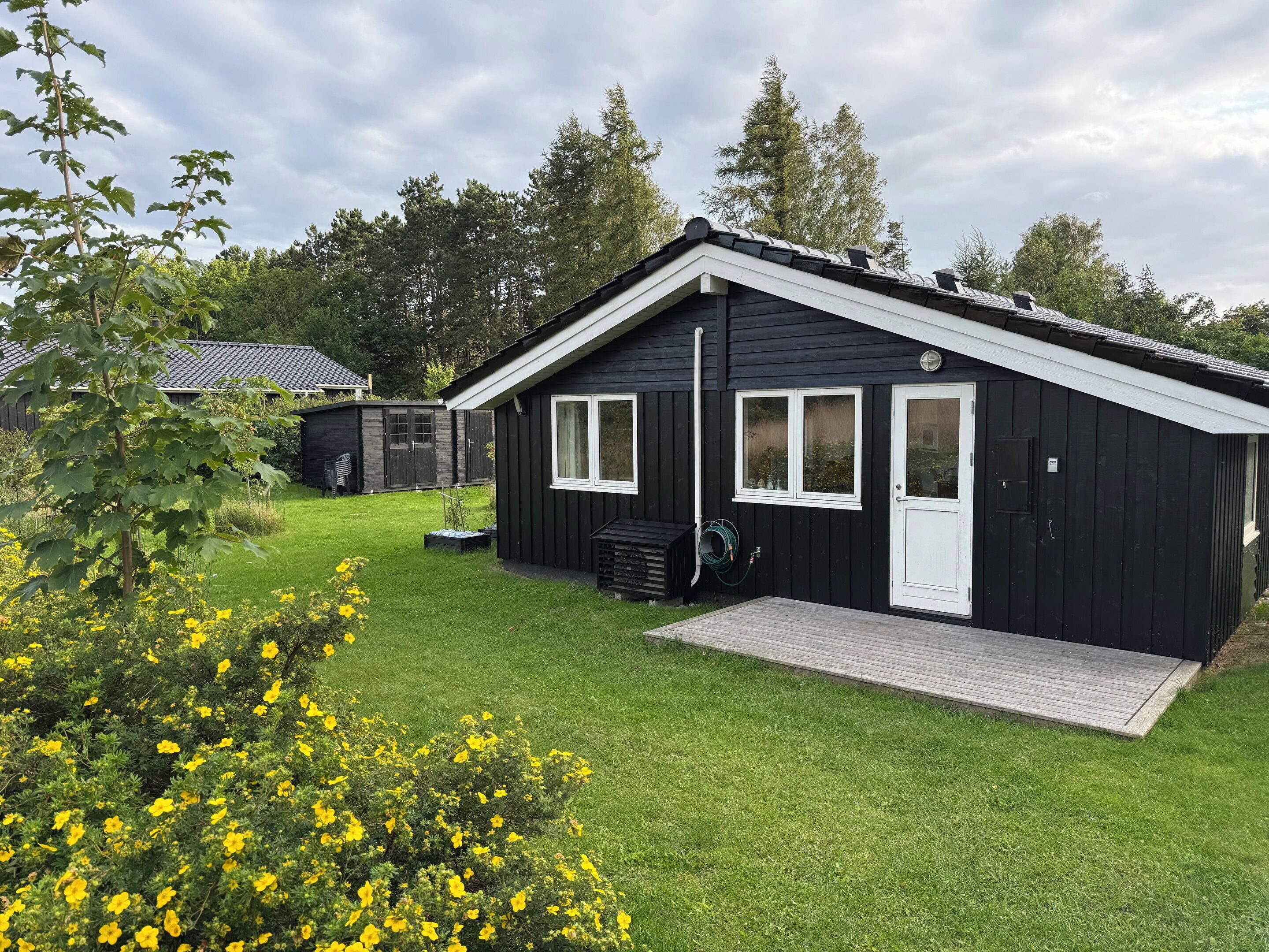 A black wooden cabin with a white door and windows, a grassy yard, and a wooden deck.