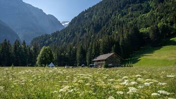 Un paysage de montagne avec une maison entourée d’un champ de fleurs blanches et d’une forêt dense.