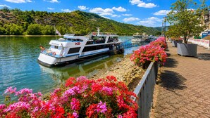 Un río con barcos amarrados, un paseo bordeado de flores y un paisaje montañoso al fondo.