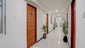Pasillo de hotel con puertas de madera, letreros de habitaciones numeradas y plantas en macetas.