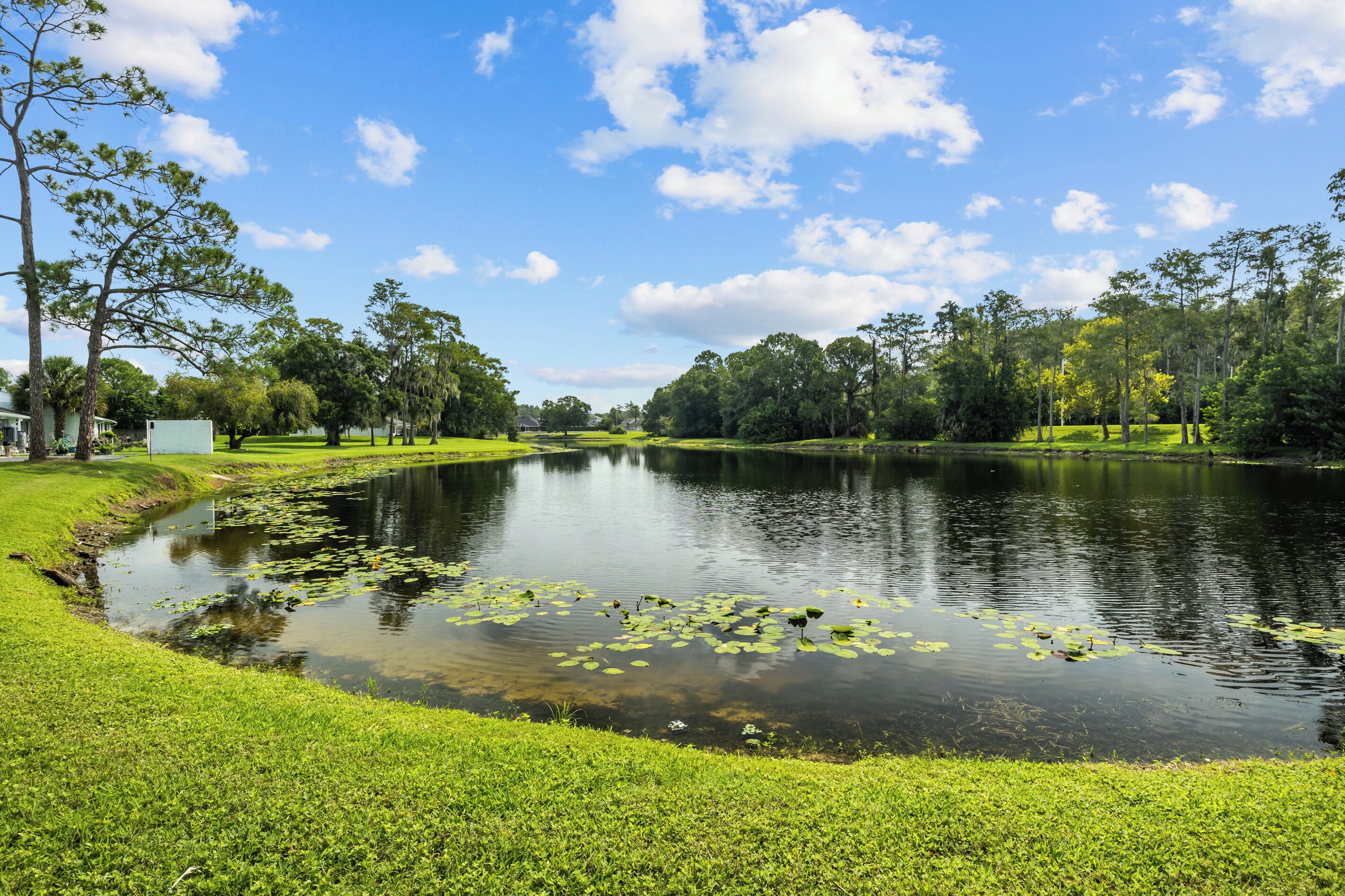 A serene lake with lily pads, surrounded by lush greenery and trees.